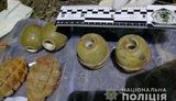 Гранатометы, ружья, гранаты и тысячи патронов: полицейские обнаружили тайник с боеприпасами на Одесчине. ФОТОрепортаж