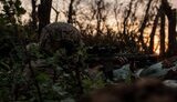 украинские воины освободили лесной массив