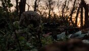Зеленский: Силы обороны в Сумской области постепенно отталкивают врага