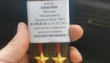 нижник