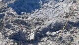 область,обстріл,запорізька