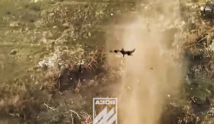 Occupier soared ten meters into air after drone drop in Toretsk direction. VIDEO