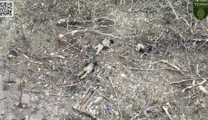 Group of Russian paratroopers was eliminated near Bakhmut as result of assault by fighters of 3rd SAB and 28th SMB. VIDEO