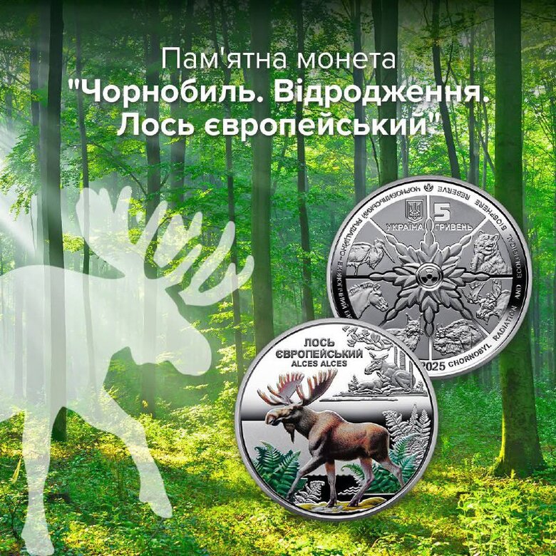 монета