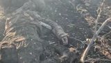 Окупант фільмує відео, як валяються спалені тіла 8 загарбників на Покровському напрямку