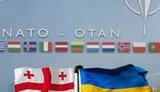 Грузия пойдет в НАТО только вместе с Украиной