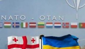 Грузия пойдет в НАТО только вместе с Украиной