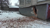 Окупанти обстріляли житлові квартали Покровська на Донетчині касетними снарядами, - пресцентр ОС. ВIДЕО