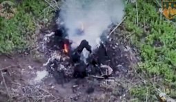 росіянин догорає у кущах