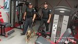 Аноним сообщил о минировании терминала морского порта в Николаеве, - полиция. ФОТОрепортаж