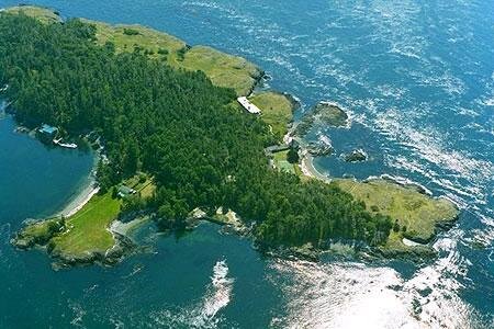 Цензор.НЕТ Изображение