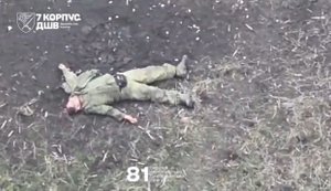 81-я бригада бьет дронами по оккупантам, пытающимся форсировать реку Северский Донец. ВИДЕО