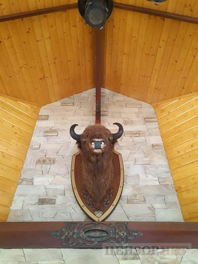 Hunting home of fugitive president Yanukovych: trophy from Lukashenko and guards shooting club 14 Hunting home of fugitive president Yanukovych: trophy from Lukashenko and guards shooting club 14