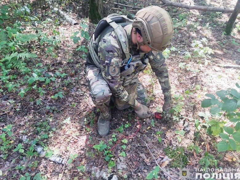 Вибухотехніки знешкодили бойову частину ворожого БПЛА