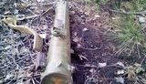 огнемет шмель