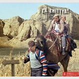 На выборы!