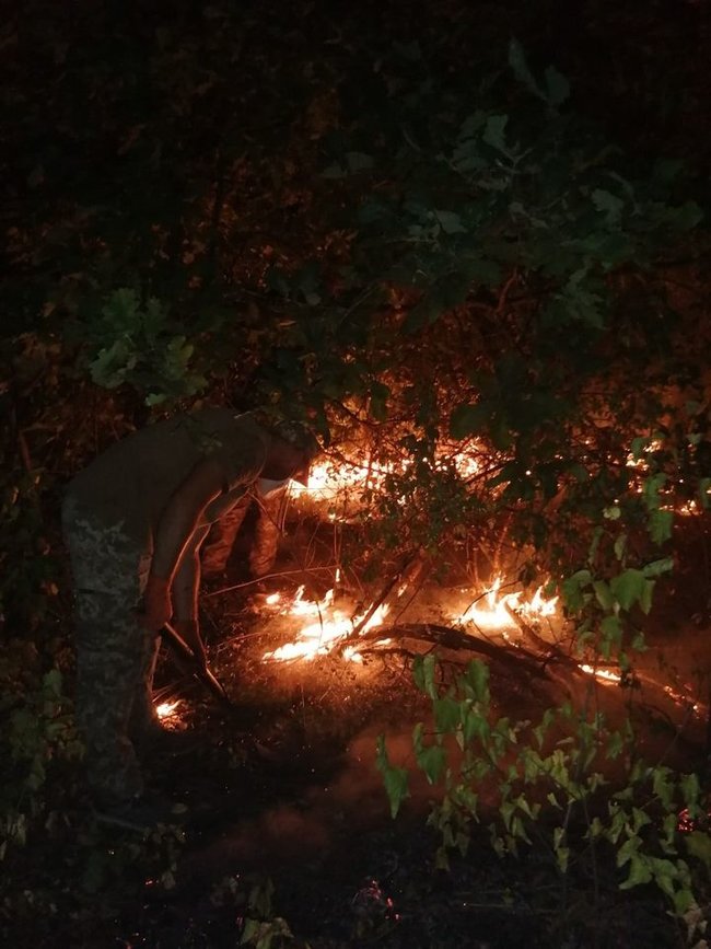 Пожежі на Луганщині можуть бути спровоковані підпалом з боку окупантів, - штаб ООС 04