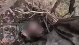 Разведчики взяли в плен россиянина, который спал в укрытии: "Доброе утро. Руки, быстро! Александр, бл#дь, Юрьевич"