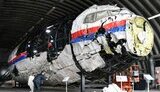 Міжнародна організація цивільної авіації визнала Росію відповідальною за збиття рейсу MH17