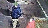 Поліція затримала підозрюваного у вбивстві 22-річної мешканки Кіровоградської області