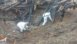 ракета,польща,пшеводув