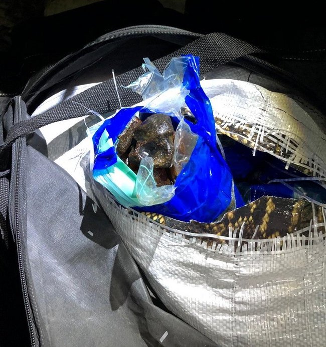 Спробу контрабанди в ЄС понад тонни бурштину блоковано на Закарпатті, - СБУ 02