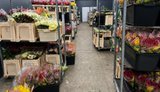 БЕБ викрило квіткову мережу на схемі з ФОПами: приховали 28 мільйонів