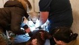Військові лікарі на Донбасі врятували тяжко пораненого фронтового пса Капрала. Операція тривала 5 годин. ВІДЕО+ФОТОрепортаж