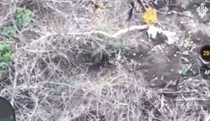 Оператори дронів бригади "Спартан" знищили 7 окупантів на Покровському напрямку. ВIДЕО