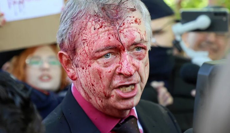 Эксперта ИМИ Земляную заочно приговорили к 13 годам колонии в РФ: Москва обвиняет ее в облитии посла соком