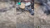 Військові РФ танком розчавили автомобіль з людьми у Запорізькій області: загинули дитина та двоє чоловіків, - поліція. ВIДЕО