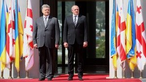 Україна і Грузія координуватимуть зусилля для відновлення територіальної цілісності своїх держав, - Цеголко. ВIДЕО