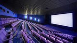 "Білий" бізнес потребує кредитування фонду зарплати на період карантину, - гендиректор "Мультиплекс-Холдинг" Романчук
