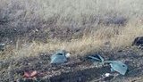 На полігоні в Херсонській області підірвався контрактник, його стан залишається важким