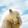 Михаил Загоруйко #303261