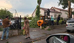 Гроза у Львові 29 червня: повалені дерева та зірвані дахи