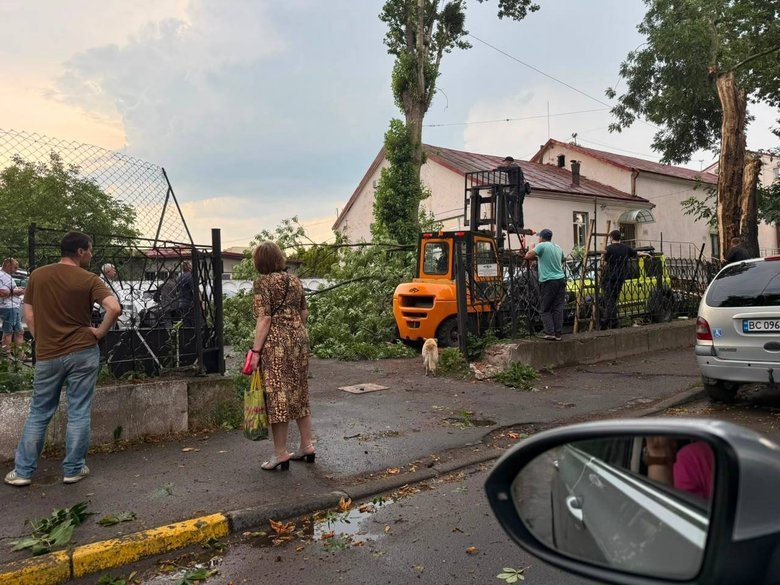 Гроза у Львові 29 червня: повалені дерева та зірвані дахи