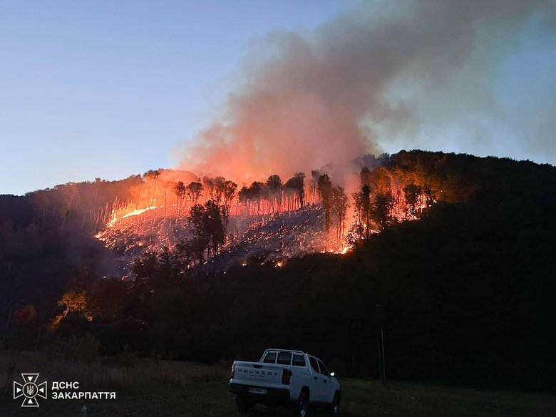 A 7-hectare forest fire is being extinguished in Zakarpattia