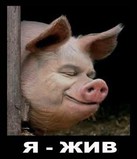 Я жру, значит существую!