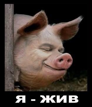 Я жру, значит существую!
