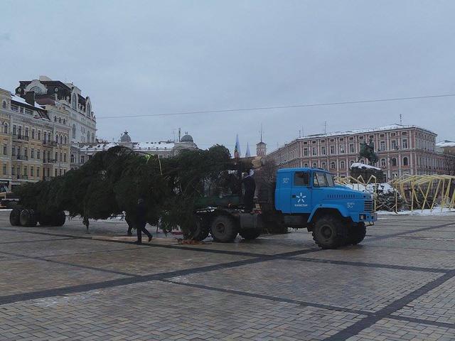 В центр Киева привезли главную новогоднюю елку Украины 01
