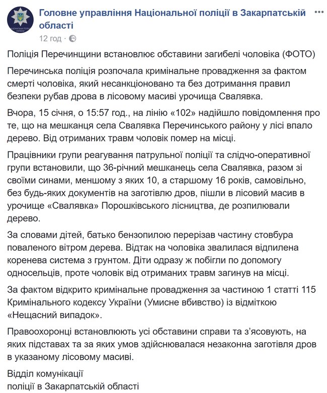 Самовольные лесорубы погибли на Харьковщине и Закарпатье, - полиция   01