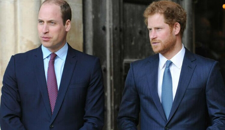Prince William "frustrated" by Harry’s visit to Ukraine - Daily Mail