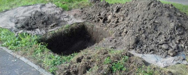 Вандали розкопали масове поховання жертв Голокосту в Рівному 01