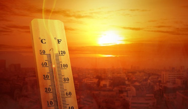 Heat breaks temperature records in 11 regions of Ukraine – Ukrainian Hydrometeorological Center