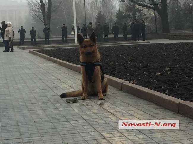 Мітинг за відставку губернатора Савченка в Миколаєві: будівлю облради охороняють сотні силовиків, азовці пройшли всередину, почалися сутички 10