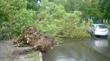 По Киеву пронесся ураган - есть пострадавшие люди и машины под водой. ФОТО+ВИДЕО