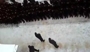 "Shame! Glory to Ukraine!" - Naval Cadets Opposed Separatist Officer with Patriotic Greeting. VIDEO