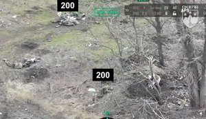 Бійці 425-го ОШП показали десятки ліквідованих окупантів поблизу Тернового. ВIДЕО