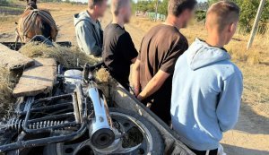 Переправка в Молдову на подводе: в Одесской области задержаны четыре мужчины, - ГПСУ. ВИДЕО+ФОТО